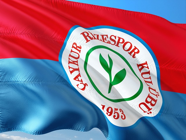 公正与风波 公正与风波