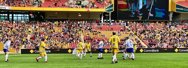 强大的适应 强大的适应