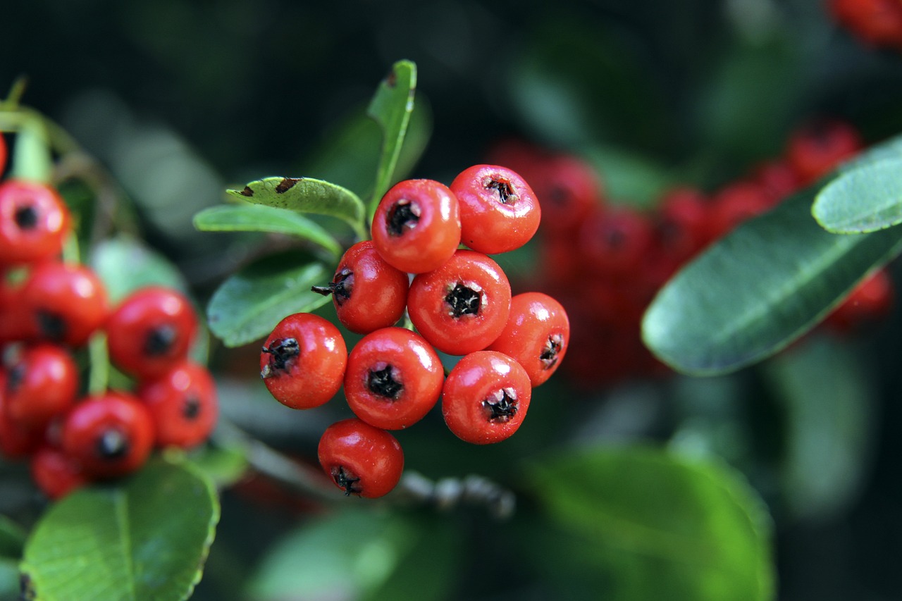 拉开了精彩 拉开了精彩