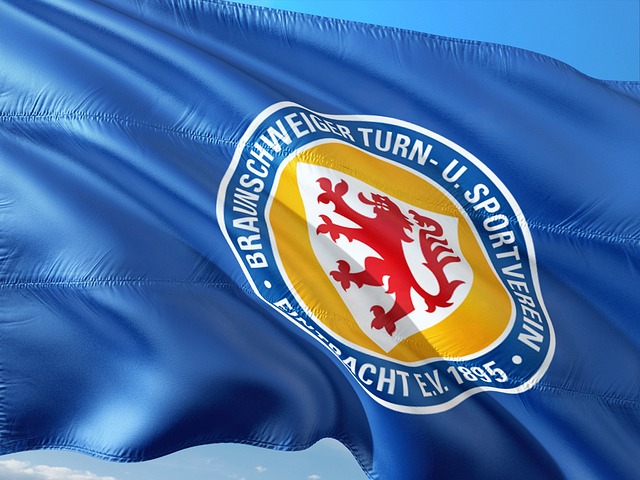 不只是支持 不只是支持