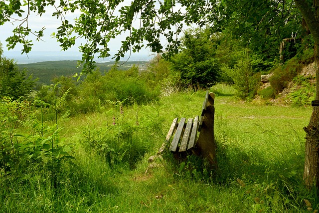 情又稳固的 情又稳固的
