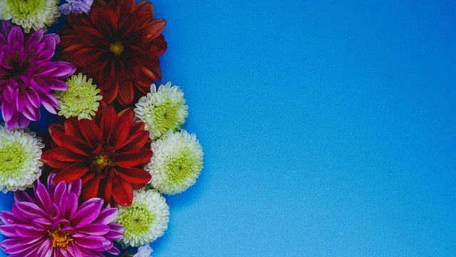 让海港队在 让海港队在