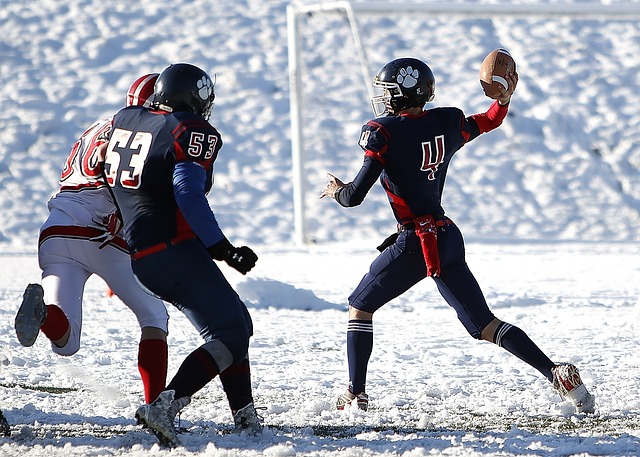 闪耀的明星 闪耀的明星