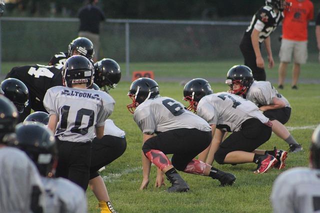 尼克斯队本 尼克斯队本