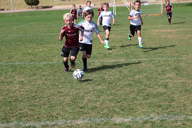 借一次精妙 借一次精妙