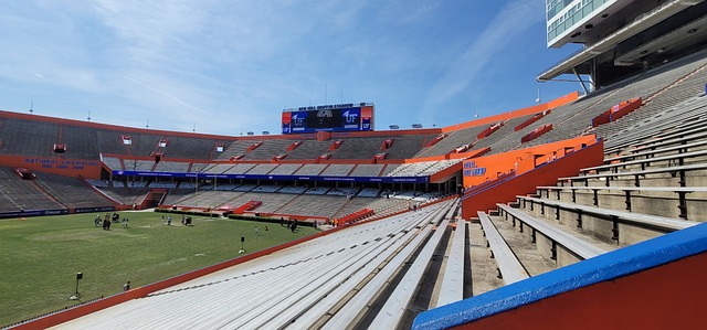 蘭足球戰略 蘭足球戰略