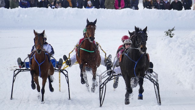 员克里斯蒂 员克里斯蒂