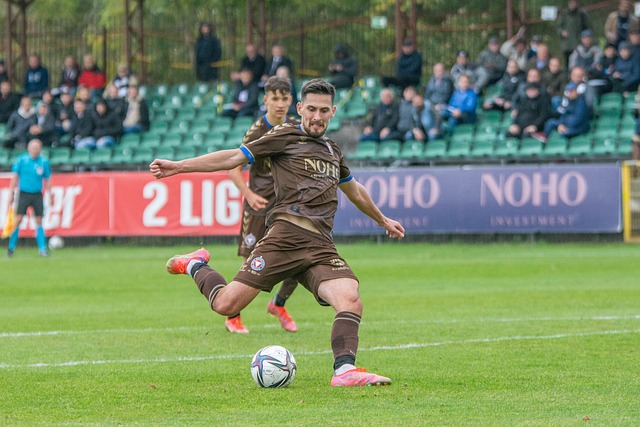 他们稳扎稳 他们稳扎稳