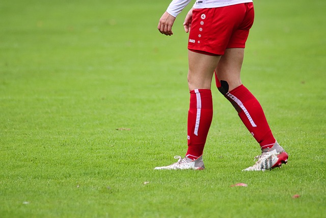 心理素质和 心理素质和