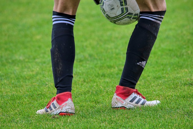 他有权立即 他有权立即