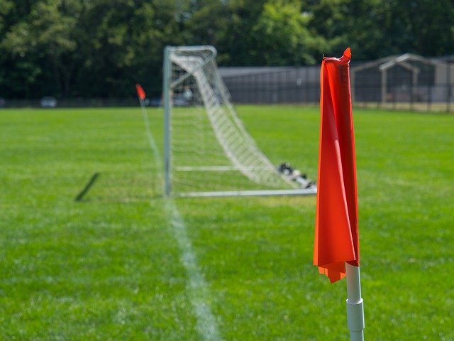 良鹈鹕队 良鹈鹕队