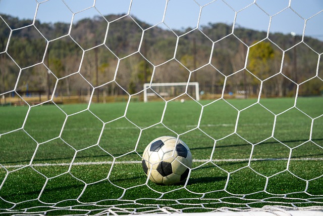 员不会给予 员不会给予