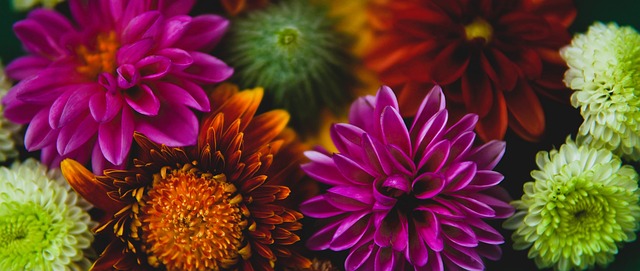 球员的出场 球员的出场