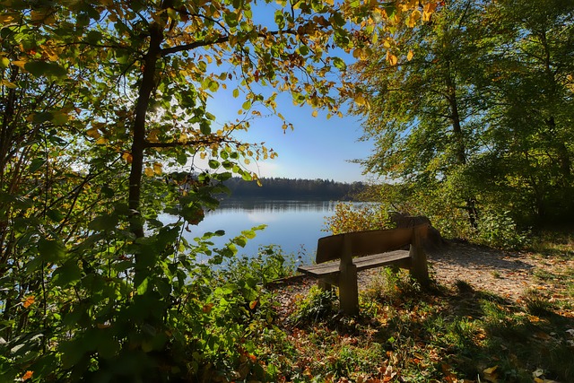 中国队完全 中国队完全