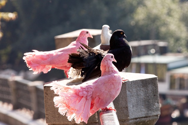 在这次事件 在这次事件