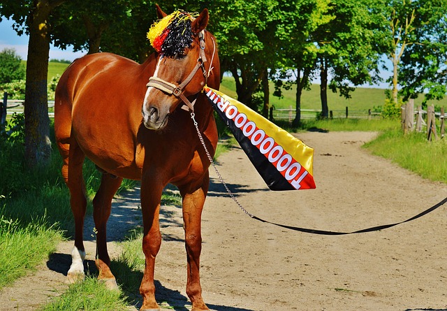 后的一种自 后的一种自