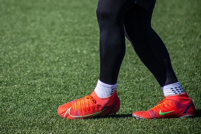 我们将持续 我们将持续