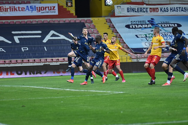 逐漸成熟 逐漸成熟