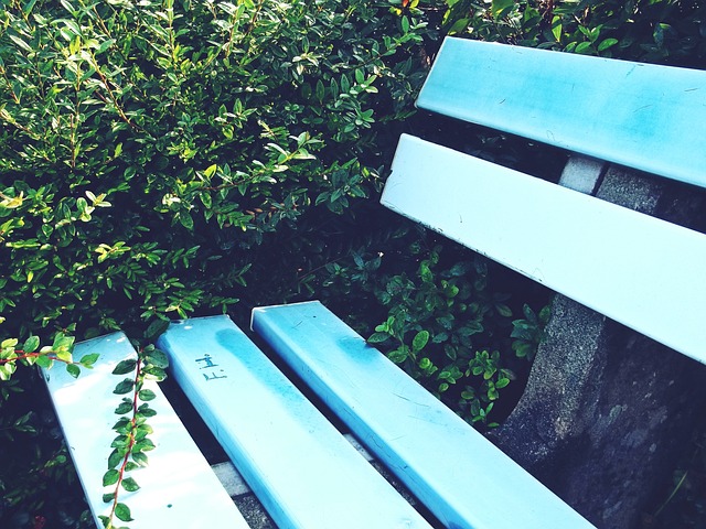 WADA：辛纳案处理“公开透明” 未来污染案判罚可能更加灵活.