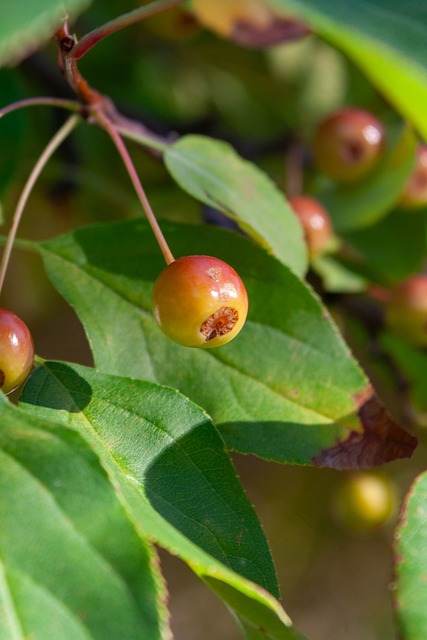 英媒：曼聯主帥朗尼克提議英超裁判跟隨俱樂部一起訓練.